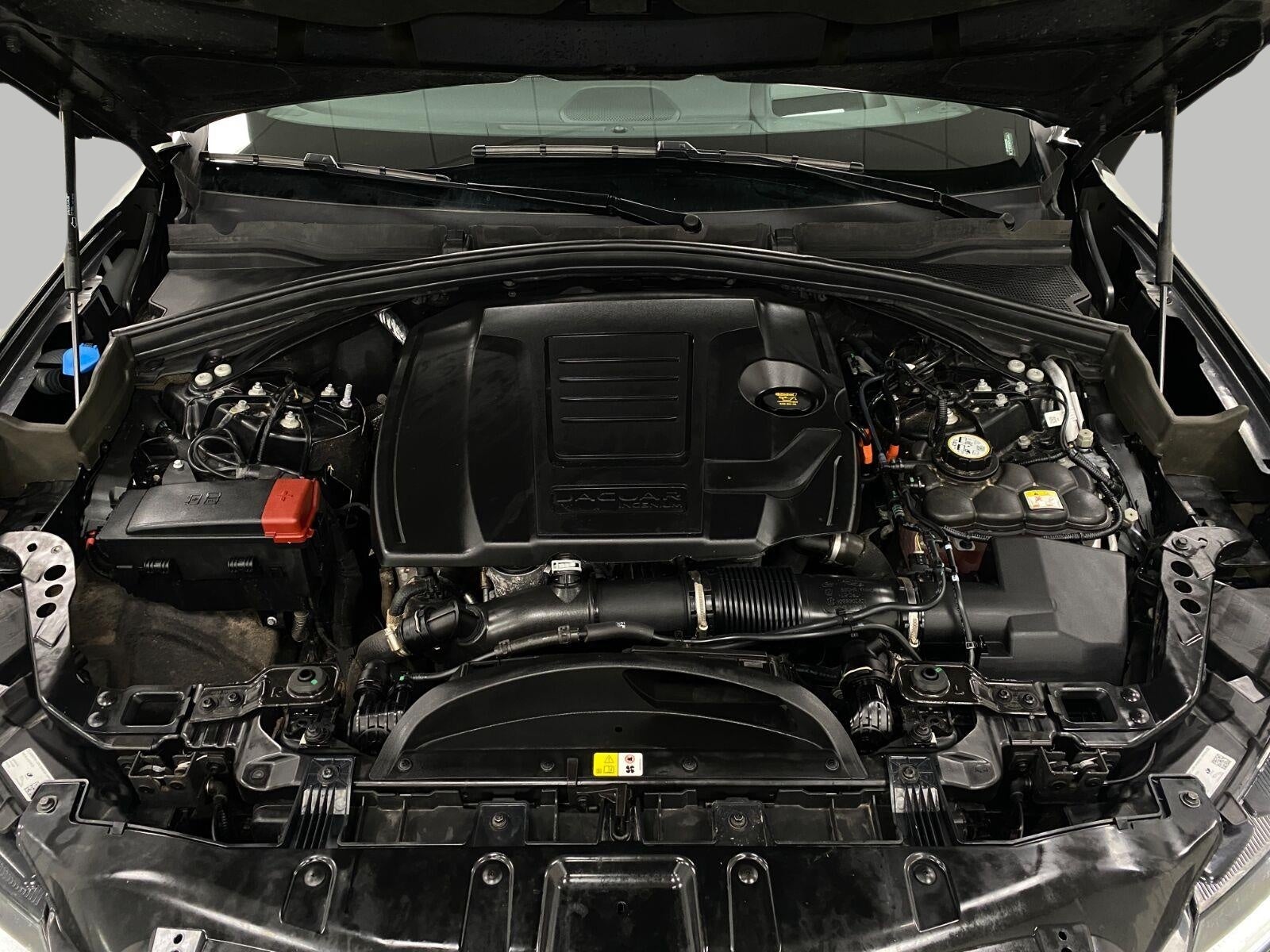 2026 Jaguar F-PACE R-Dynamic S P250 AWD